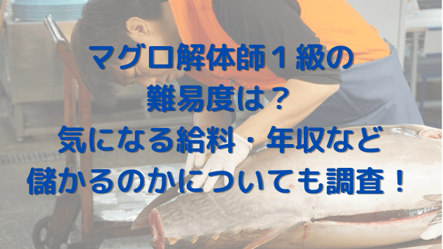 マグロ解体師１級の難易度は 気になる給料年収など儲かるのかについて調査 きょんマルbook